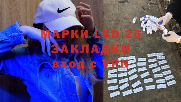 шишки Новозыбков