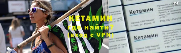 шишки Новозыбков