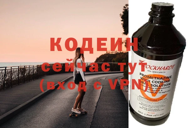 шишки Новозыбков