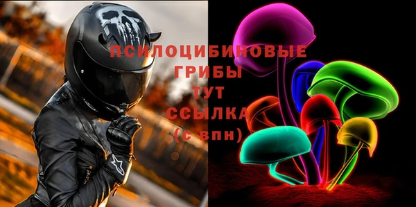 круглые Новодвинск
