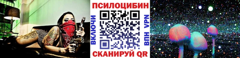 Псилоцибиновые грибы Psilocybe  Ялуторовск 